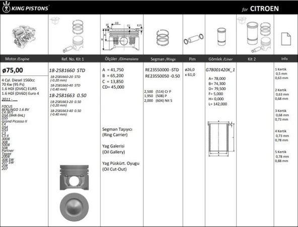 Ford Motor Piston+segmanı ( Riken )  75,00+0,50mm  Ford Focus III 1,6tdci 11> Euro5 Corıer 14> 1.6 Tdci B - Kingpiston 18-2581663 ürün görseli 1