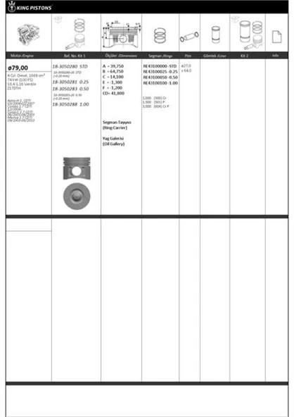 Opel Motor Piston+segmanı ( Riken )  79,00+1,00mm Cap Astra-H 1. Cdti 03/2004-02/2007 Combo 1.7 Cdti 12/2 - Kingpiston 18-3050288 ürün görseli 1