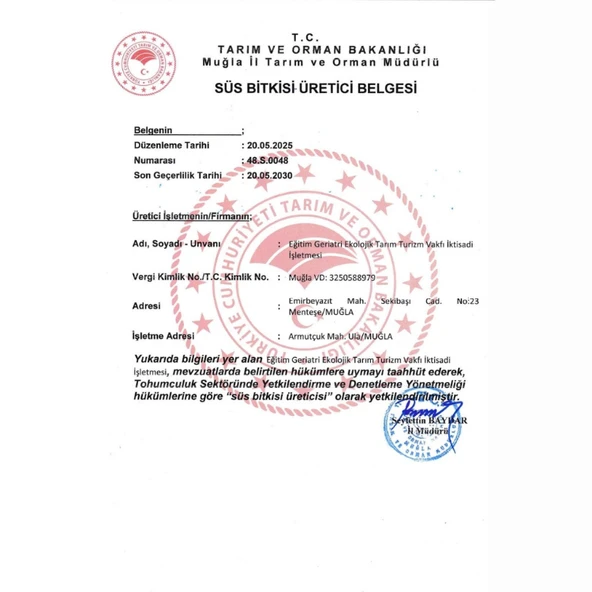 İzmir Bilyalı Kekik (Origanum onites) - Resim 4