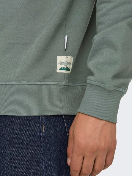 22030384 ONSDAN UNBRUSHED REG CREW NECK SWEAT VD - Resim 5