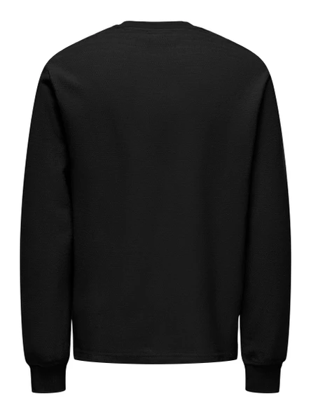 22029906 ONSTREVOR LIFE REGLS TEE - Resim 3