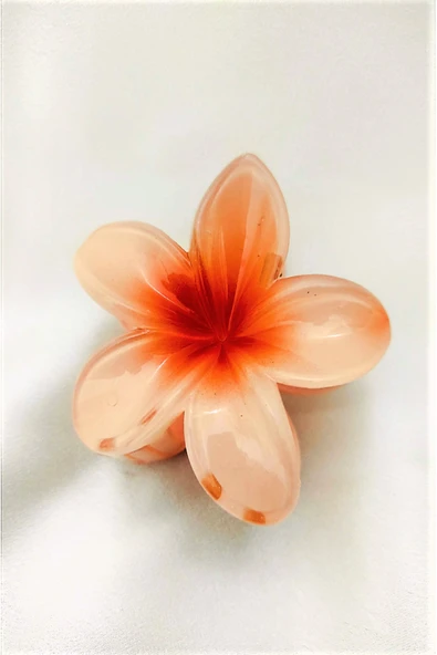 Ten Lotus Çiçek Parlak Akrilik Kadın Vintage Mandal Toka - Resim 3