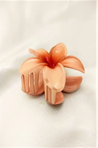 Ten Lotus Çiçek Parlak Akrilik Kadın Vintage Mandal Toka - Resim 4