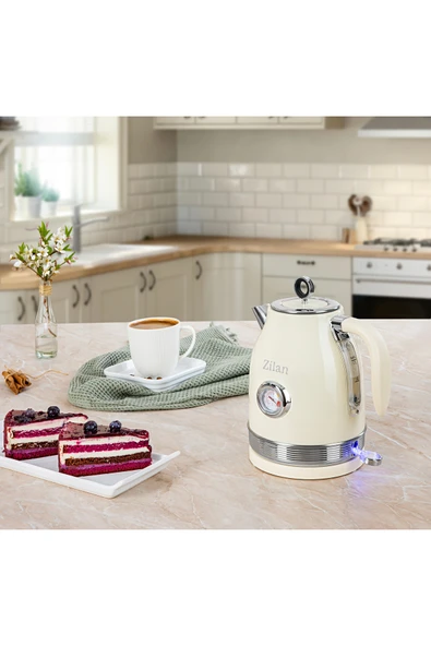 ZLN1184 SU ISITICI (RETRO) - Resim 3