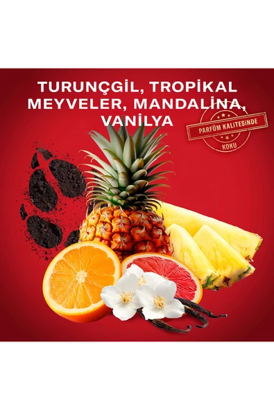 Old Spice Stick Wolfthorn 50 Ml - Resim 5