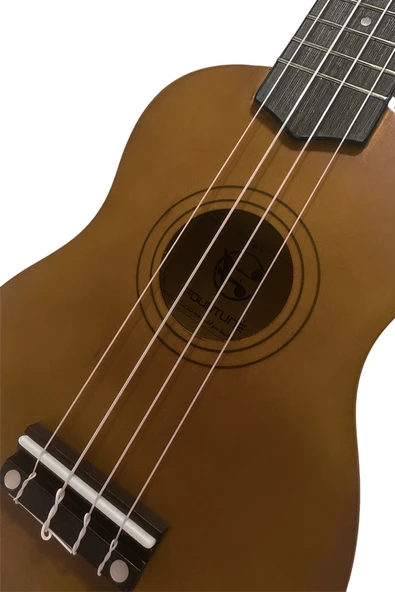 Fourtune Nova UKS-21MN Gül Ağacı Maun Soprano Ukulele Seti - Resim 3
