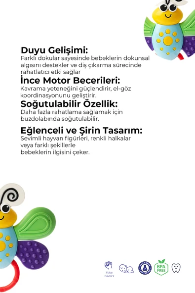 Kelebek Diş Kaşıyıcı, Dişlik - Resim 2