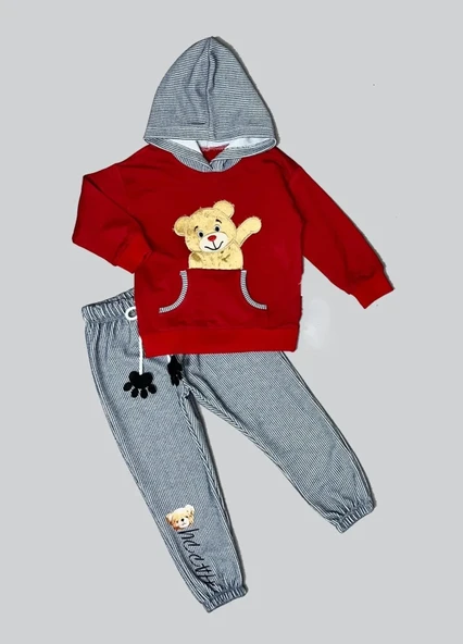 LitaeTrend 2-3-4 Yaş Pelüş Ayı Desenli Kapşonlu Uzun Kollu Penye Sweat 2li Erkek Çocuk Takımı Bordo ürün görseli 1