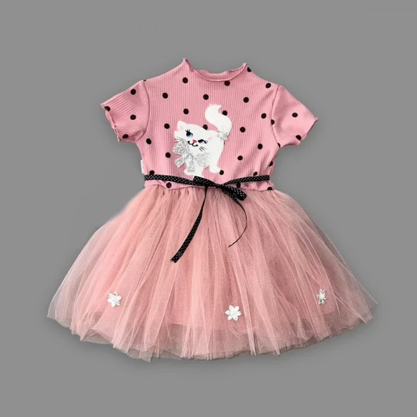 LitaeTrend 1-2-3 Yaş Payetli Kedicik Baskılı Puantiyeli Kız Bebek Elbisesi Gül Kurusu - Resim 2