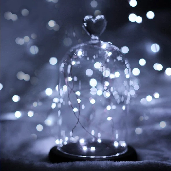 Peri Led Işık 5 metre BEYAZ  Dekor Lambası 50 Ledli - Resim 4