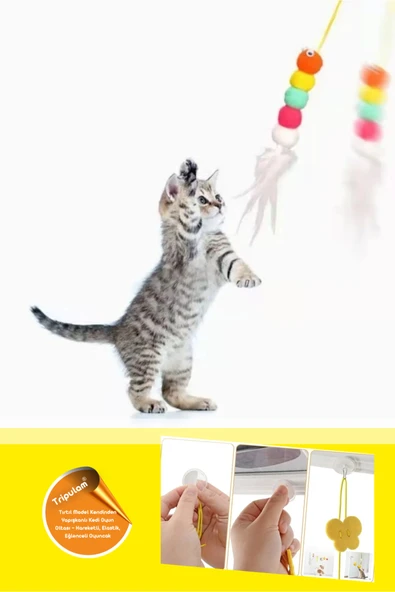 Tırtıl Model Kendinden Yapışkanlı Kedi Oyun Oltası – Elastik, Hareketli, Tavan Tipi Oyuncak - Resim 2