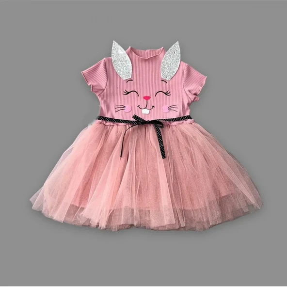 LitaeTrend 1-2-3 Yaş Payetli Kulak Tavşan Baskılı Kız Bebek Elbisesi Gül Kurusu ürün görseli 1