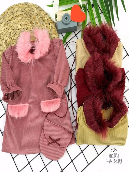 LitaeTrend 9-12-18-24 Ay Tüylü Yaka Ve Cep Kapaklı Çantalı Fitilli Kadife Uzun Kollu 2li Kız Bebek Elbisesi Pembe ürün görseli 1