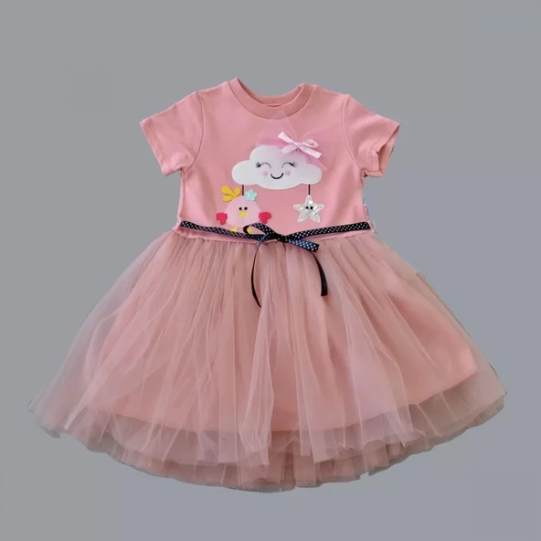 LitaeTrend 1-2-3 Yaş Tül Tokalı Bulut Civciv Ve Yıldız Nakışlı Kız Bebek Elbisesi Gül Kurusu - Resim 2