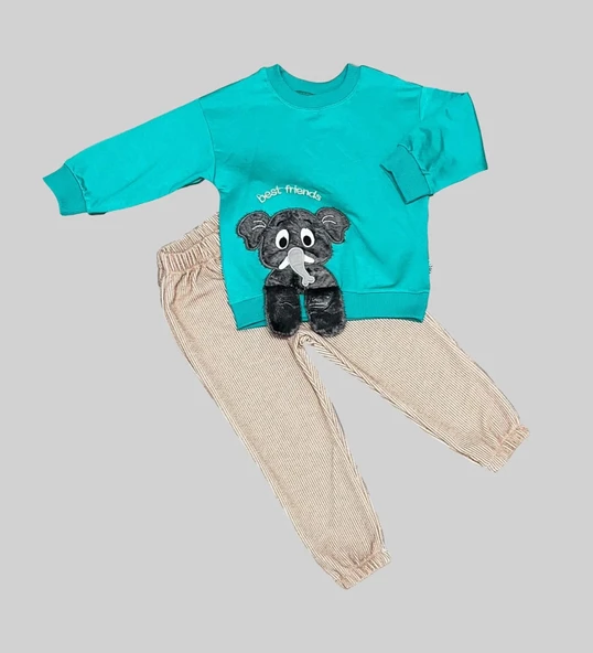 LitaeTrend 1-2-3 Yaş Filli Sallanan Ayak Desenli Likra Penye Kumaş Sweat Pantolonlu Kız Erkek 2li Çocuk Takımı Mint Yeşi ürün görseli 1