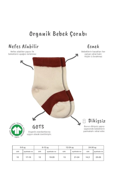 LitaeTrend 3'lü Penye Rainbow Soket Çorap Bs10113 Kiremit - Resim 2