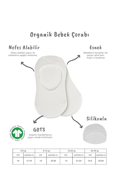 LitaeTrend Bistyle 2'li Penye Babet Silikonlu Basic Çorap 30104 Siyah Ekru - Resim 2