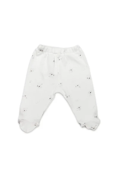 LitaeTrend Bistyle Patikli Alt Lıttle Koala 16117 Gri ürün görseli 1