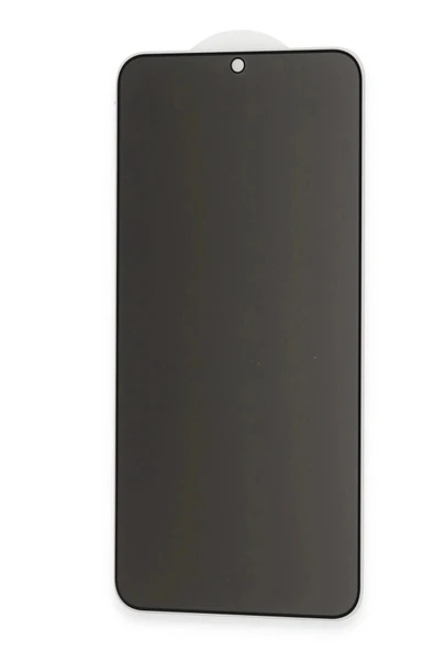 LitaeTrend Samsung Galaxy S22 Plus Hayalet Edge Cam Ekran Koruyucu - Resim 4