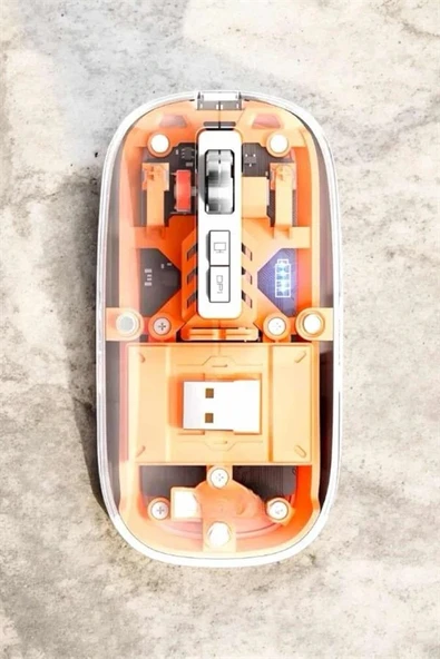 LitaeTrend Sessiz Kablosuz USB Girişli Mouse Fare Yüksek Performanslı ürün görseli 1