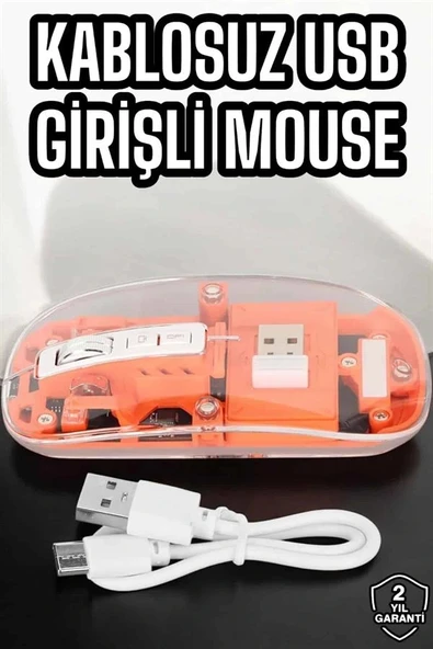 LitaeTrend Fare Mouse Çift Modlu Kablosuz Bağlantılı 2.4GHz Destekli - Resim 2