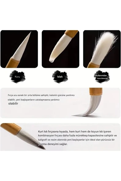 Çini tahrir, seramik sırlama fırça seti, seramik boyama, çini, vazo, resim, brush-19 Parça - Resim 3