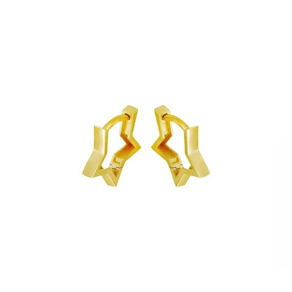 22 Ayar Altın Yıldız Küpe T076619 ürün görseli 1