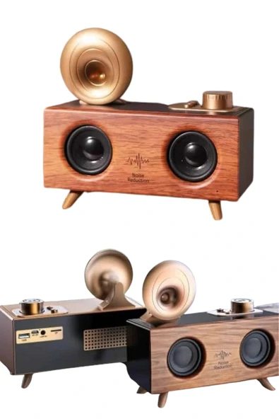 LitaeTrend Gramafon Nostaljik Radyo Yüksek Ses Kalitesi USB TF Kart Aux - Resim 3