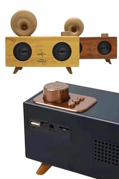 LitaeTrend Gramafon Radyo Bluetooth Hoparlör Nostaljik Radyo FM Radyo - Resim 5