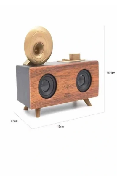 LitaeTrend Gramafon Nostaljik Radyo Yüksek Ses Kalitesi USB TF Kart Aux - Resim 5