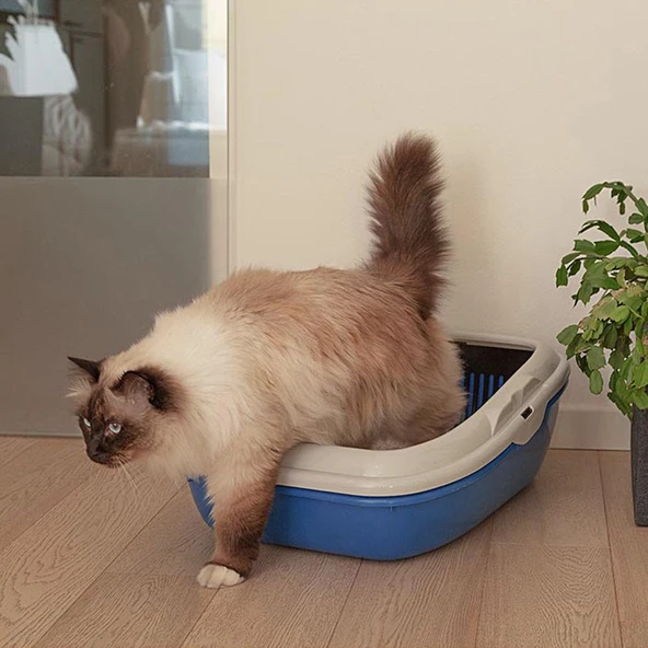 Ferplast Birba Elekli Açık Kedi Tuvaleti - Resim 4