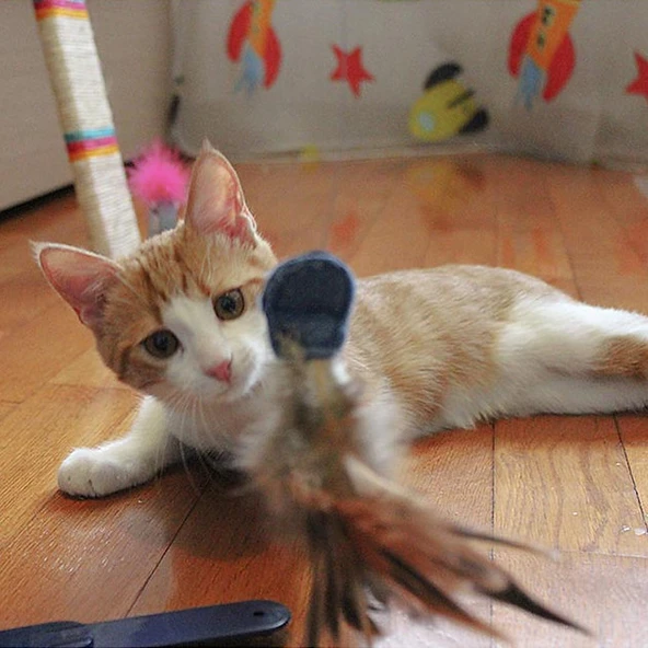 Ferplast Raptor Elektronik Kedi Oyuncak - Resim 4