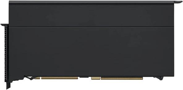 Radeon Pro W6800X MPX Modülü - Resim 2