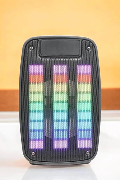 LitaeTrend Kablosuz Bluetooth Hoparlör Taşınabilir 6.5 inç LED Işık Kareoke - Resim 5