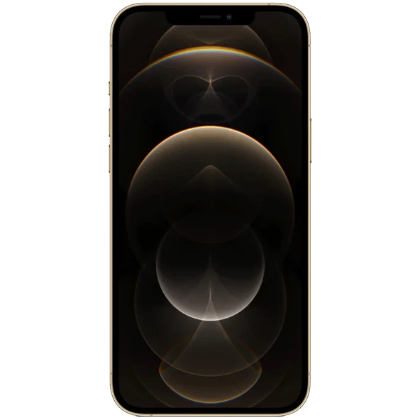 Yenilenmiş iPhone 12 Pro Max 256 GB Grafit Cep Telefonu (12 Ay Garantili) - B Kalite - Resim 5