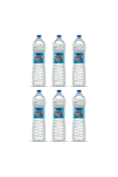 Su 1.5 LT x 6 Adet - Munzur'dan Gelen %100 Doğal Kaynak Suyu ürün görseli 1
