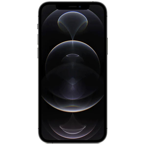 Yenilenmiş iPhone 12 Pro Max 256 GB Grafit Cep Telefonu (12 Ay Garantili) - C Kalite - Resim 2