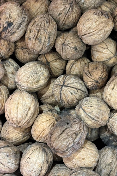 Denizli Kale Kabuklu Ceviz – %100 Doğal Yeni Sezon Hasadı (1 kg) - Resim 4