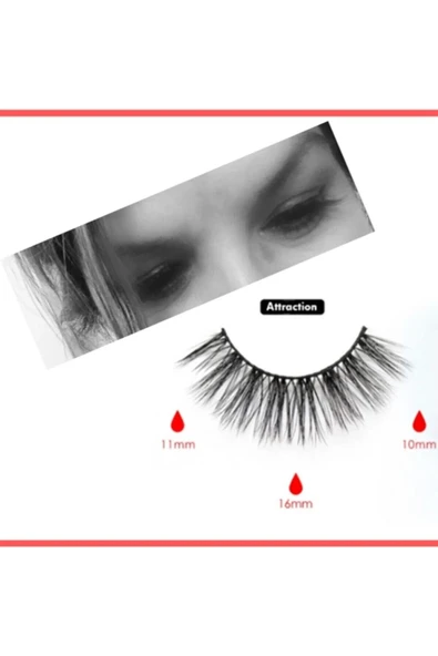 Shibella Cosmetics Manyetik Eyeliner Ve Manyetik Takma Kirpik Must Have Serisi- Attraction - Resim 3