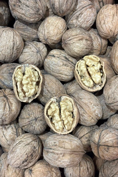 Denizli Kale Kabuklu Ceviz – %100 Doğal Yeni Sezon Hasadı (1 kg) ürün görseli