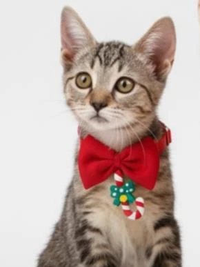 Christmas Candy Yılbaşı Kedi Papyon Tasması | Kırmızı Fiyonk Boyun Aksesuarı | Noel Temalı Kedi Süsü - Resim 4