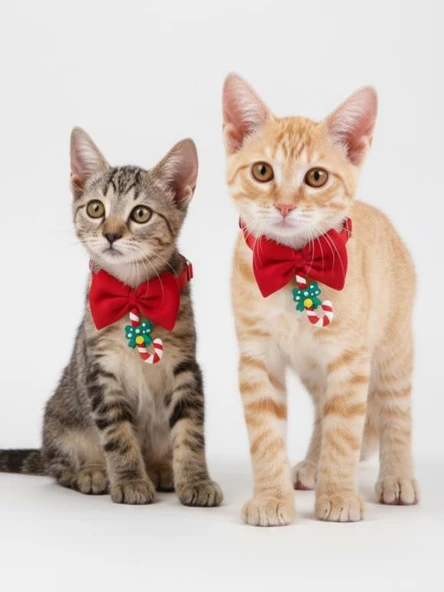 Christmas Candy Yılbaşı Kedi Papyon Tasması | Kırmızı Fiyonk Boyun Aksesuarı | Noel Temalı Kedi Süsü - Resim 3