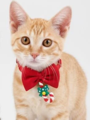 Christmas Candy Yılbaşı Kedi Papyon Tasması | Kırmızı Fiyonk Boyun Aksesuarı | Noel Temalı Kedi Süsü - Resim 5