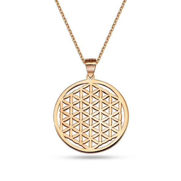 Yaşam Çiçeği Gümüş Kolye - Rose ürün görseli 1