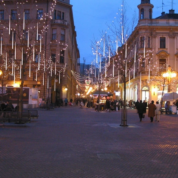 8 Saçaklı 50 cm Meteor Yağmuru Led Işık  Gün Işığı, Fişli, Hareketli Akan Efektli Dış Mekan Aydınlatma - Resim 5