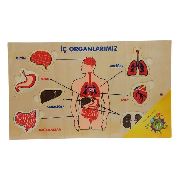 Ahşap Yapboz Duyu Organlarımız ürün görseli 1
