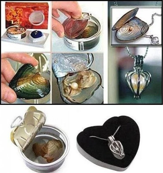 Sevgiliye Özel Günlere Hediye istiridye İçinden Çıkan Gerçek İnci Kolye Set Sevgiliye Şık Hediye ürün görseli 1