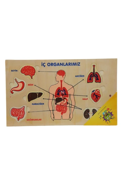Ahşap Yapboz Duyu Organlarımız - Resim 3