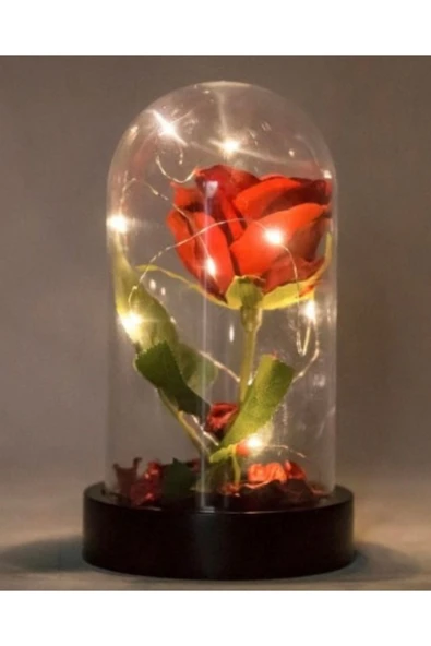 Fanusta Led Işıklı Kırmızı Yapay Gül Sevgiliye Özel Dekoratif Hediye Sevgililer Günü - Resim 6