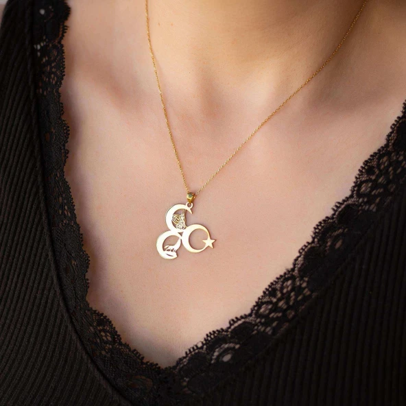 3 Hilal Tuğra Kurt Ayyıldız Kolye - Gümüş - Resim 3